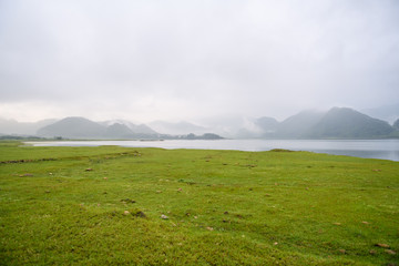 国内著名的十大养生专家是谁？