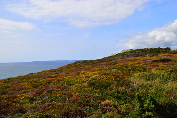 福建农林大学中加合作办学项目介绍