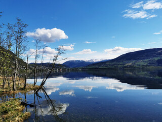 世界地球日是什么节日 地球日的具体概念