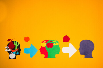 水母有哪些器官