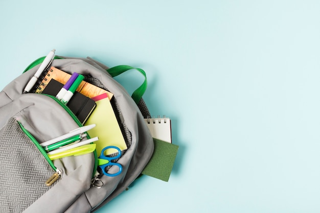 水母有哪些器官