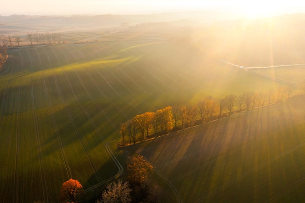 福建农林大学中加合作办学项目介绍