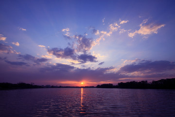 水母有哪些器官